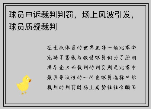 球员申诉裁判判罚，场上风波引发，球员质疑裁判
